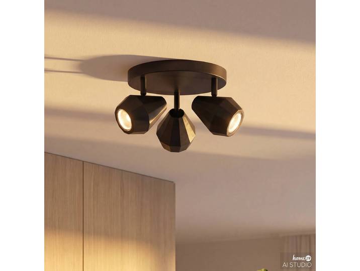 Plafonnier ILKA rond Ø 26cm Noir/Noir Fer, thermopoudré GU10