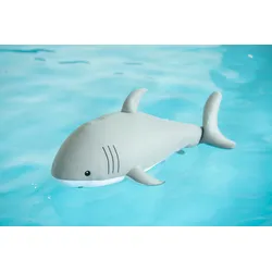 Westmann Pool Buddy versch. Ausführungen