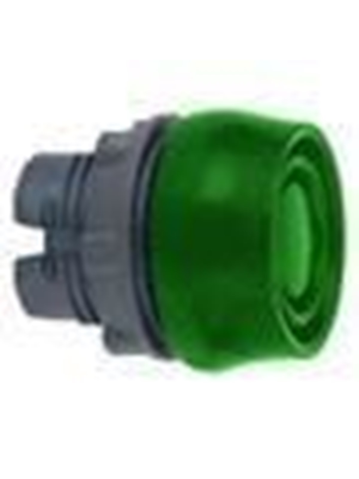 Schneider Electric Pushbutton operator head