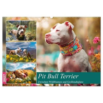 Pit Bull Terrier. Zwischen Wildblumen und Großstadtglanz (Wandkalender 2027 DIN A2 quer), CALVENDO Monatskalender