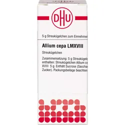 Allium Cepa Lm Xviii 5 G