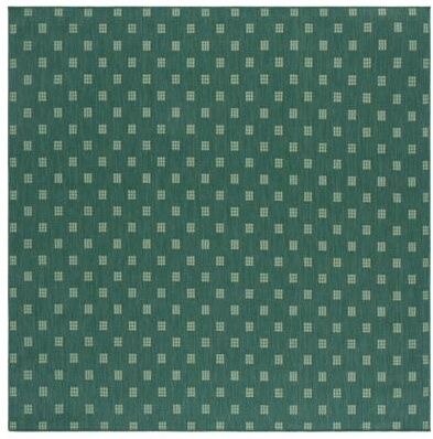 SAFAVIEH Terrace Soazig Indoor/Outdoor Washable Backyard Patio Rug