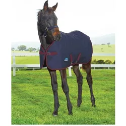 Weatherbeeta, Pferdedecke, (145 cm)