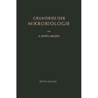 Grundriss der Mikrobiologie, Taschenbuch von August Rippel-Baldes, Springer Berlin, 978-3-662-01455-4