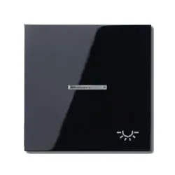 Wippe mit Symbol "Licht", mit Lichtleiter (schwarz)