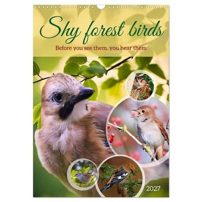 Shy forest birds (Wall Calendar 2027 DIN A3 portrait), CALVENDO 12 Month Wall Calendar