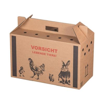 VEPATIM 10x Transportkarton für Kleintiere 480x230x300mm mit Tragegriff Luftlöchern und Automatikboden - Größe M