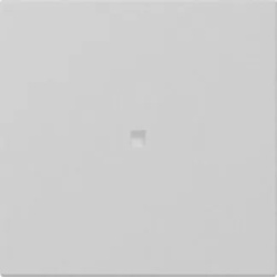 Gira 3490015 Wippe gerade Kontroll- fenster System 55 Grau matt (lackiert)