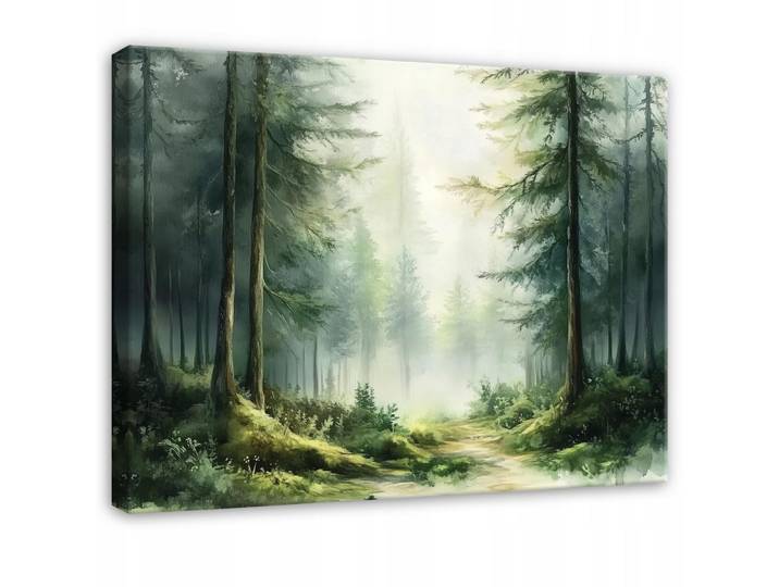 BILDER Wald Natur Grün Bäume 60x40