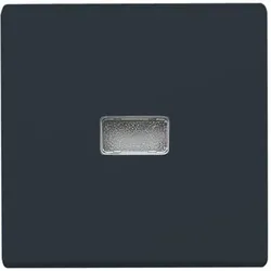 Busch-Jaeger Wippe anth 2107-35