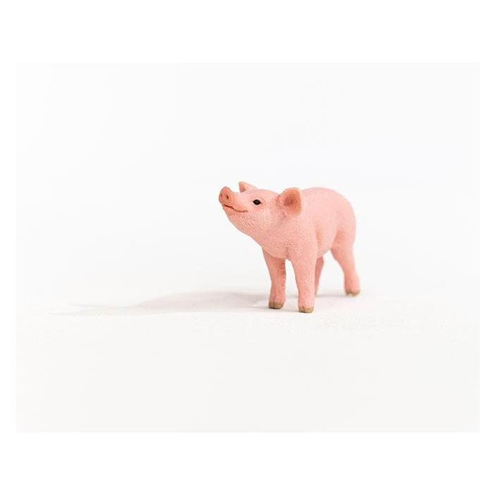 Schleich Farm World (13934)