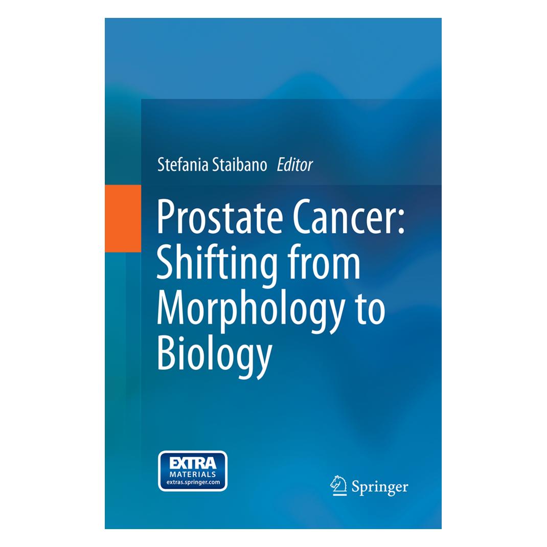 Springer Prostate Cancer: Shifting from Morphology to Biology (Englisch, Softcover, Stefania Staibano) (55891348)