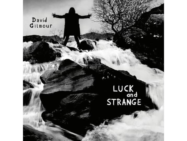 David Gilmour: Luck and Strange [Winyl]