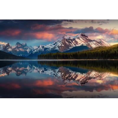 Fototapete PAPERMOON "Photo-Art JUAN PABLO DE, MALIGNE FARBE", bunt, B:4m L:2,6m, Vlies, Tapeten
