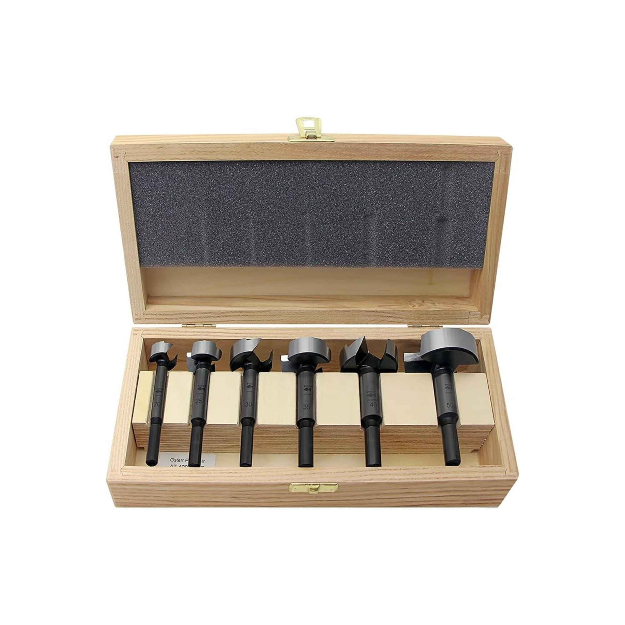 Forstnerbohrersatz Type 0317 6-tlg.D.20,25,30,35,40,50mm FISCH-TOOLS (03170006K)