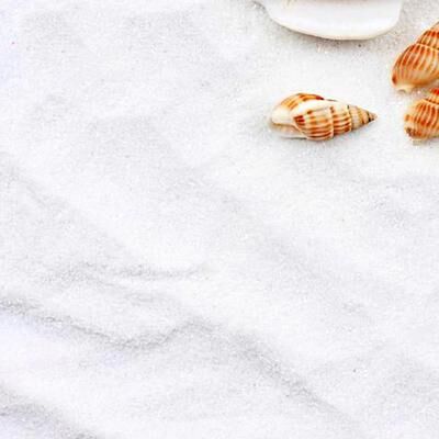 Inspire Essentials Mini Decorative White Sand For Terrariums Aquarium Landscaping And DIY Crafts Mini Decorative White Sand For Terrariums Aquarium Landscaping And DIY Crafts