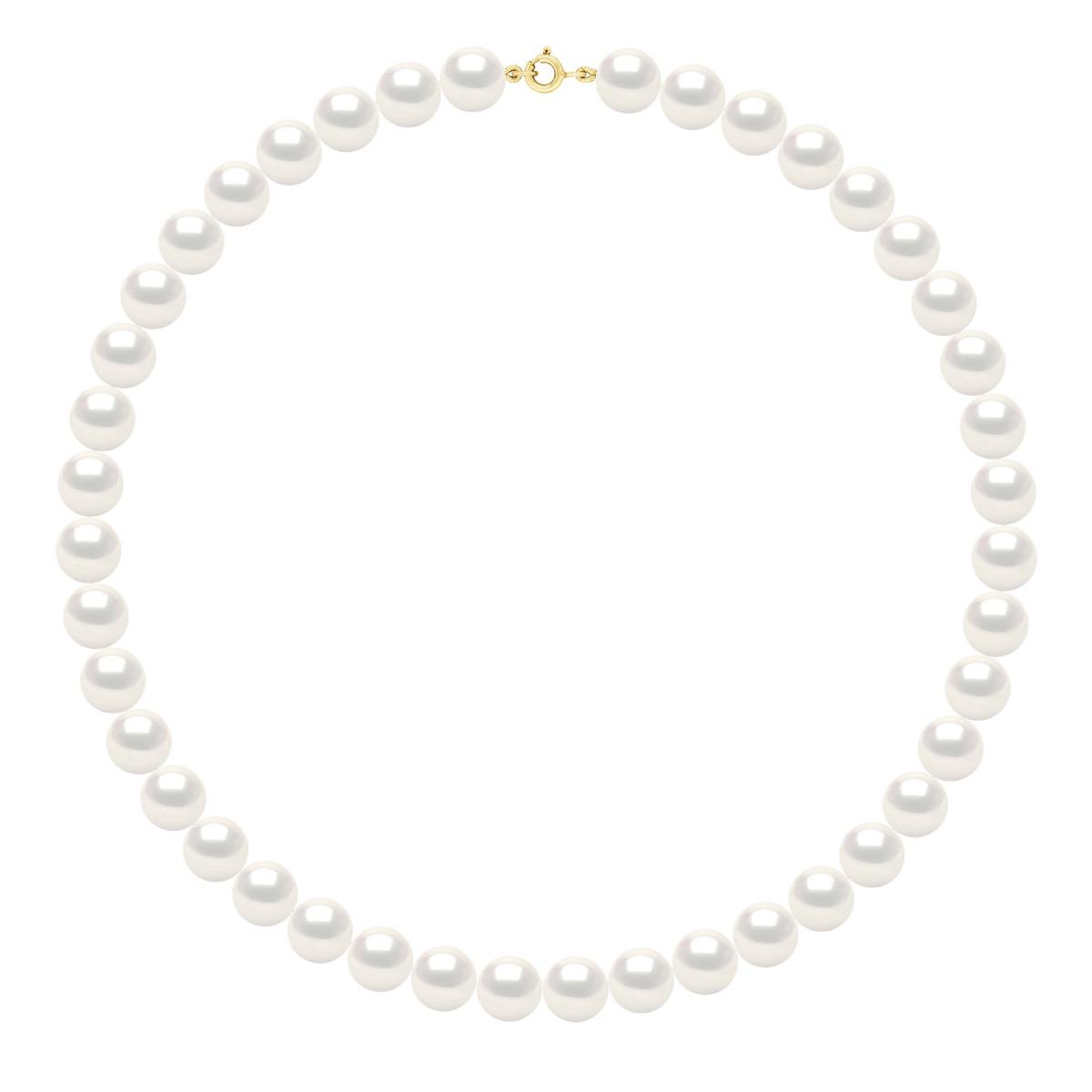 CHOKER - Echte Süßwasser-Zuchtperlen rund 10-11 mm