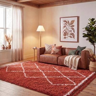 SAFAVIEH Pro Luxe Shag Subinka Moroccan Tassel 2.4-inch Thick Rug
