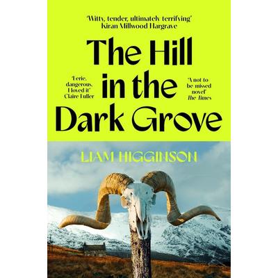 The Hill in the Dark Grove, Taschenbuch von Liam Higginson, Pan Macmillan, 978-1-03-506944-6