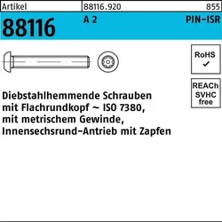 Schraube R 88116 diebstahlhemmend ISR Zapfen M6x 45-T30 A 2 100 Stück