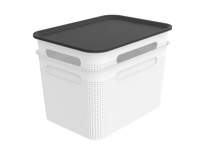 Rotho 2er-Set Box mit Deckel Brisen 16 l