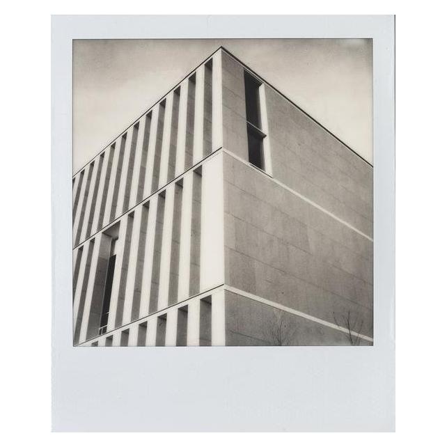 Polaroid B&W 600 (006003)