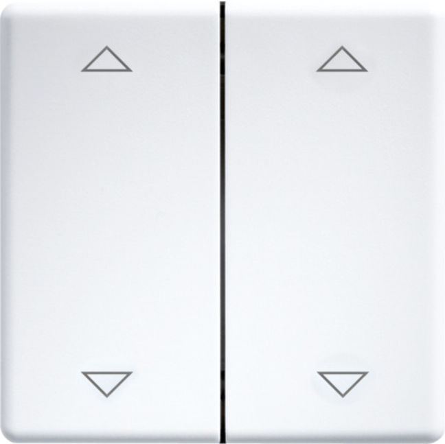 Eltako Doppelwippe lasergraviert f.55x55mm rws/glänz DW-FT55-wg+2P (30000985)
