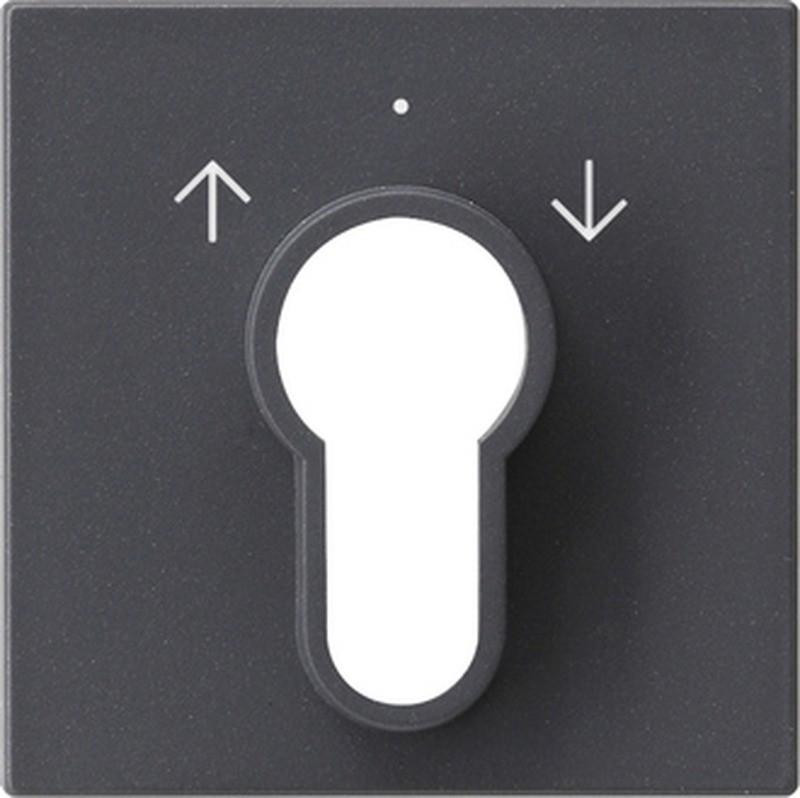 Gira afdekking voor sleutelschakelsysteem Standard 55, E2, Event, Event Klar, Event Opak, Esprit, ClassiX, antraciet 0 (066428)