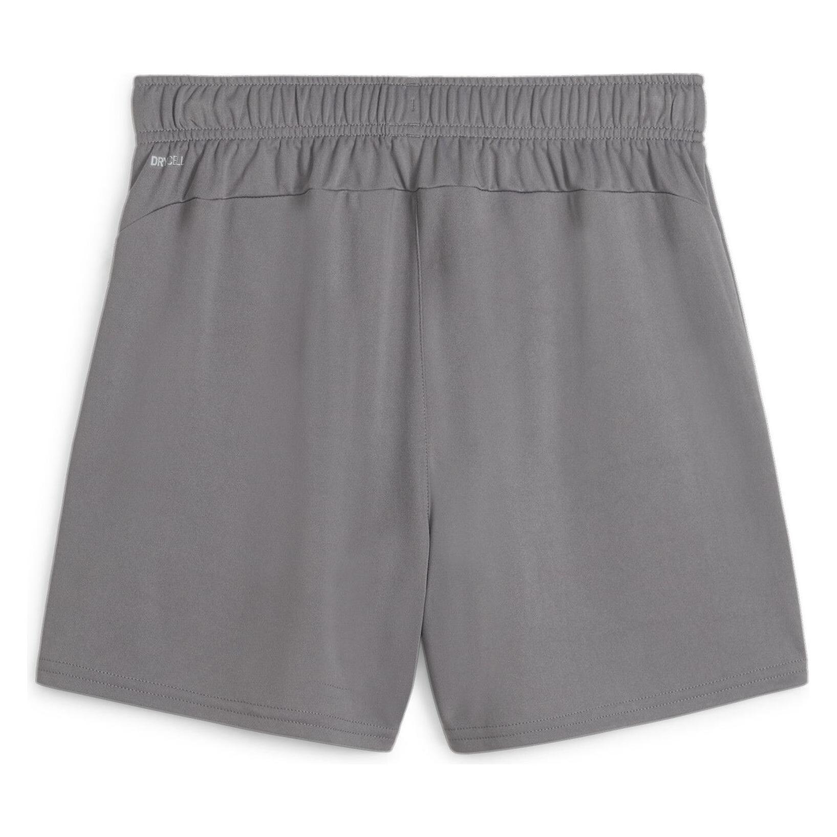 Puma teamGOAL Handball Shorts W (S) (706019_13)