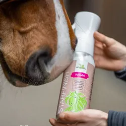 B & E StarFinish parfümfrei - Schweif- und Mähnenspray für Pferde - 500 ml