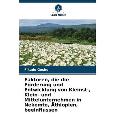 Faktoren, die die Förderung und Entwicklung von Kleinst-, Klein- und Mittelunternehmen in Nekemte, Äthiopien, beeinflussen, Taschenbuch von Fikadu