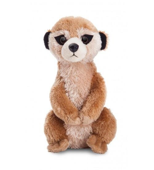 Aurora MF MEERKAT 26151