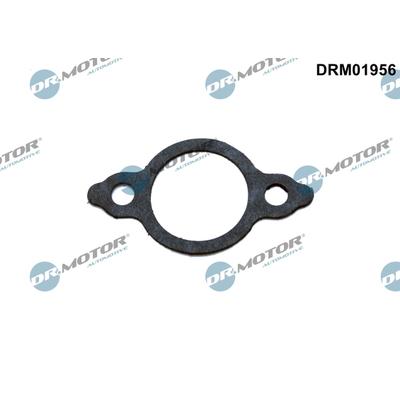 DR.MOTOR AUTOMOTIVE Dichtung, Leitung AGR-Ventil drm01956 für NISSAN