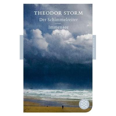 Der Schimmelreiter / Immensee, Taschenbuch von Theodor Storm, Fischer Taschenbuch Verlag, 978-3-596-90036-7