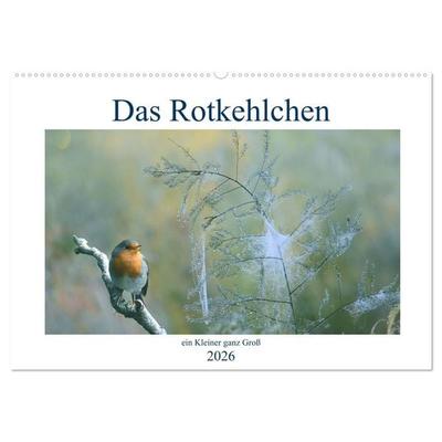 Das Rotkehlchen, ein Kleiner ganz Groß (Wandkalender 2026 DIN A2 quer), CALVENDO Monatskalender