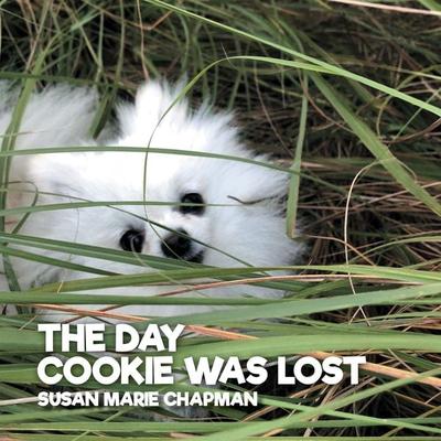 The Day Cookie Was Lost - Susan Marie Chapman, Audio, 9781734542967