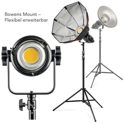 Walimex pro LED Niova 350 Plus Daylight 350W, Dauerlicht, Schwarz