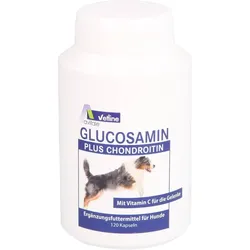 Avitale Glucosamin + Chondroitin für Hunde