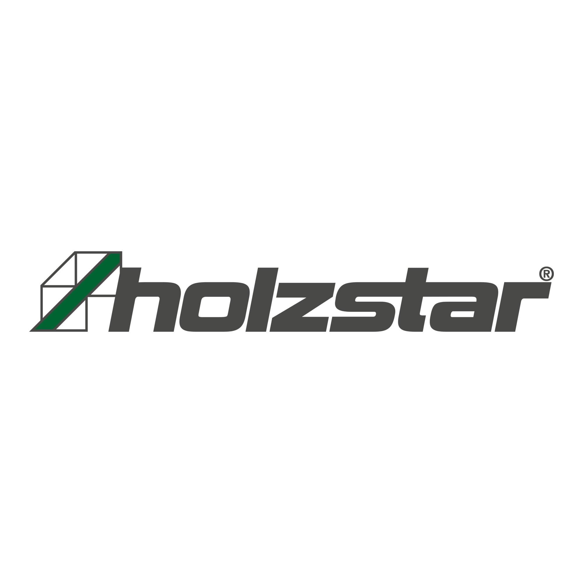 holzstar Filtersack SAA 2003 Holzstaubsauger (5932203)