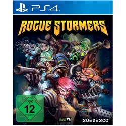Soedesco, Rogue Stormers
