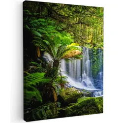 LEINWANDBILD Dschungel - Wasserfall - Australien - Pflanzen - Natur Room Decor 30x40 cm