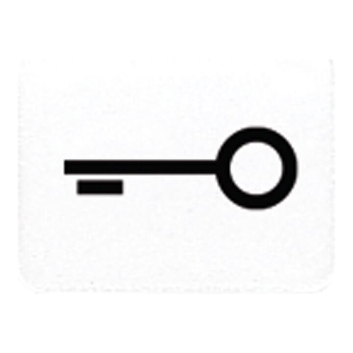 Jung Symbol aws TÜR 33 T WW (33TWW)
