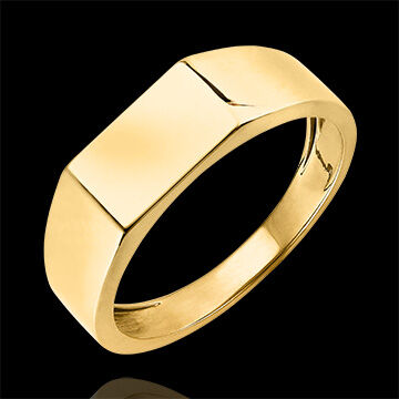 Edenly Ring DÃ¤mmerschein - Siegelring Hector - 18 Karat Gelbgold