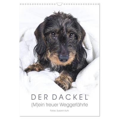 Der Dackel (M)ein treuer Weggefährte (Wandkalender 2027 DIN A3 hoch), CALVENDO Monatskalender