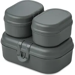 Pascal Ready Organic Lunchboxen mini grau 3 El.