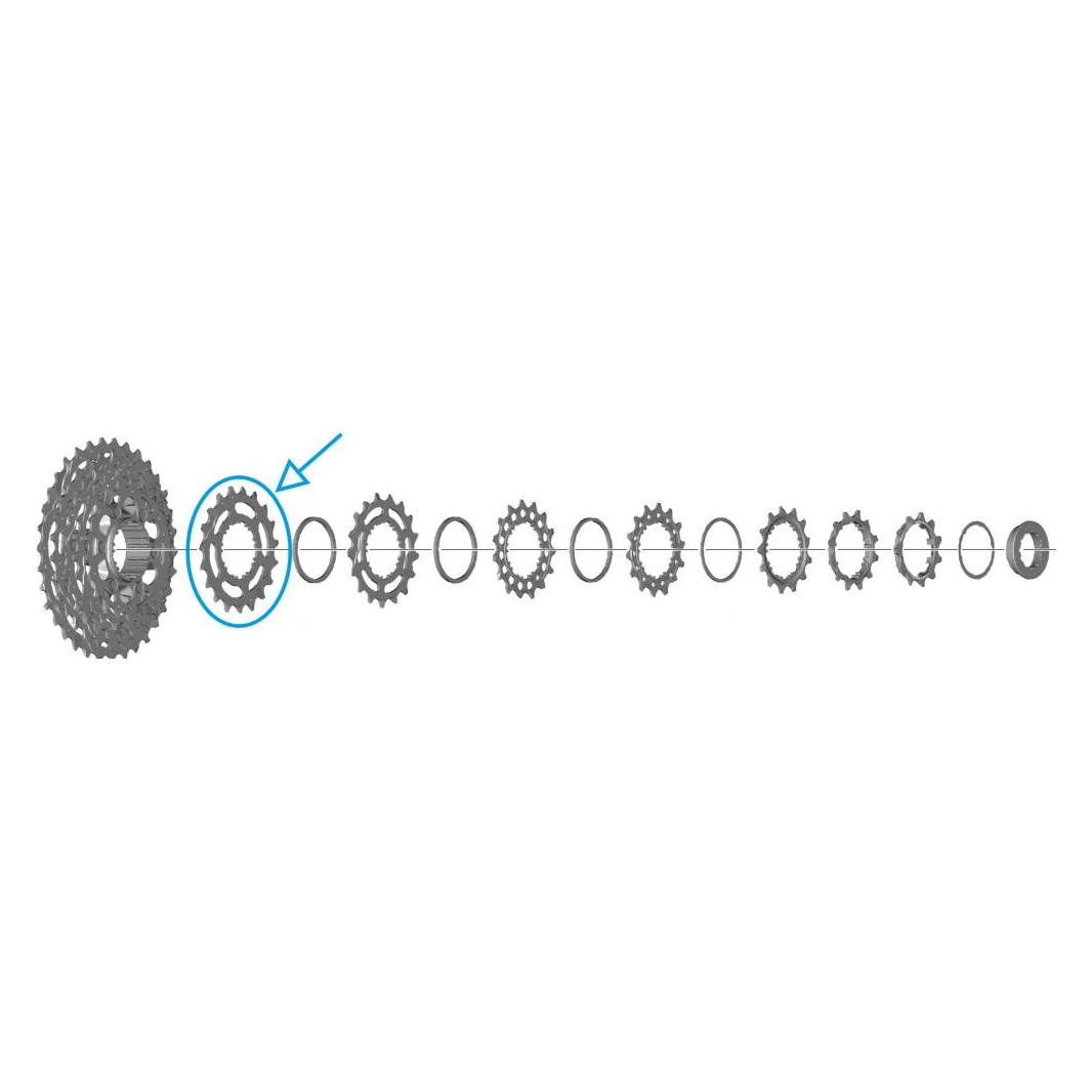 Shimano Zahnkranz CS-R7100 19 Zähne (19) (33369952)