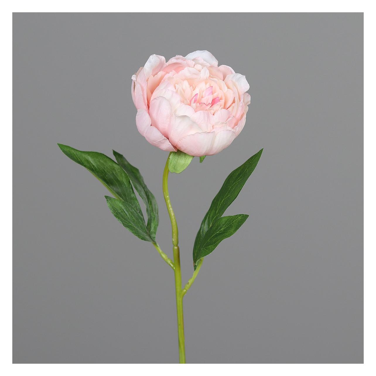 Magni Kunstblume Päonie peach 48cm (48 cm) (55166645)