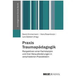 Praxis Traumapädagogik, Fachbücher von Lars Dabbert, Hans Rosenbrock, David Zimmermann