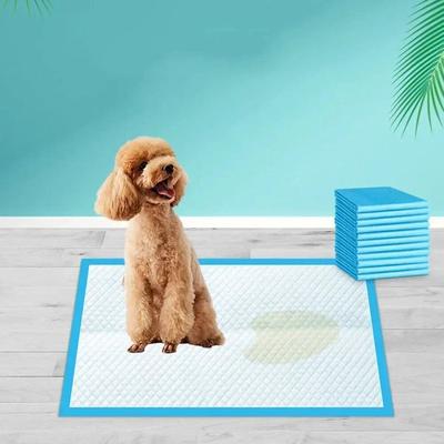 Happy Pet Pantry Absorbent Dog Diapers & Puppy Pee Pads, Disposable Training Pads With Quick Dry Surface For Potty Training 20pcs 23.635.4 Inch