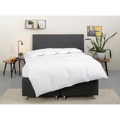Daunenbettdecke OTTO HOME "Cyra, Bettdecke 135x200 cm, 155x220 cm", weiß, B:135cm L:200cm, Bezug: 100% Baumwolle. Füllung: 70% Entendaune, 30% Entenfeder, Bettdecken, wo besonders auf artgerechte Haltung der Tiere geachtet wird